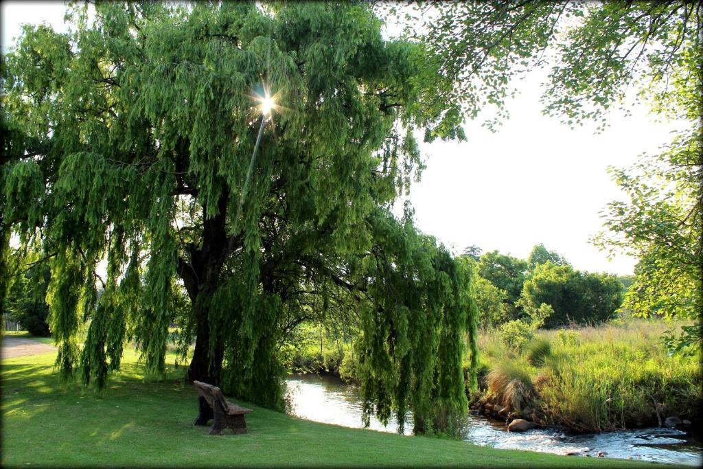 Aqua Terra Guest House Lydenburg Esterno foto